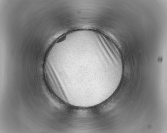 X0000093110394200710241246