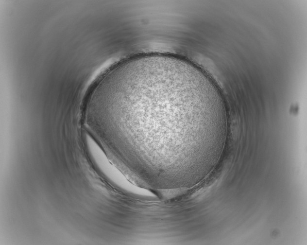 X0000093110395200710241246