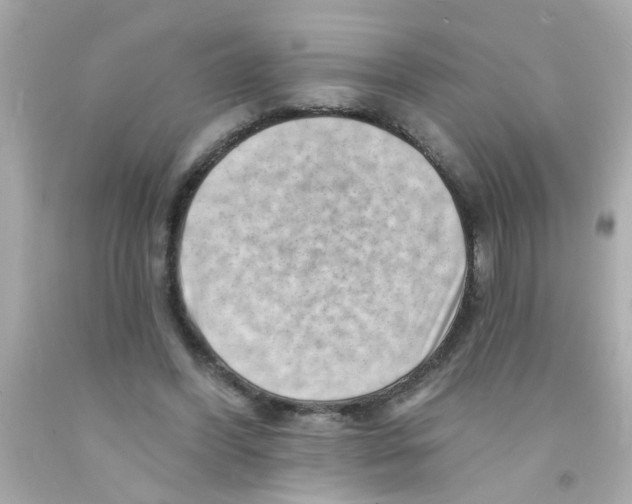 X0000093110396200710241246