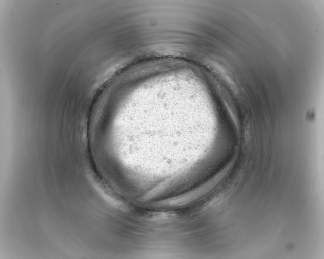 X0000093110398200710241246