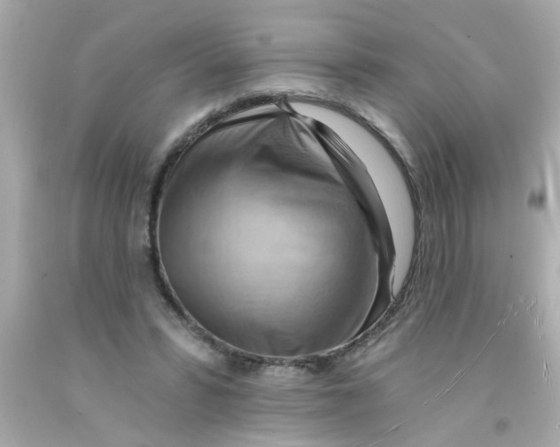 X0000093110399200710241246