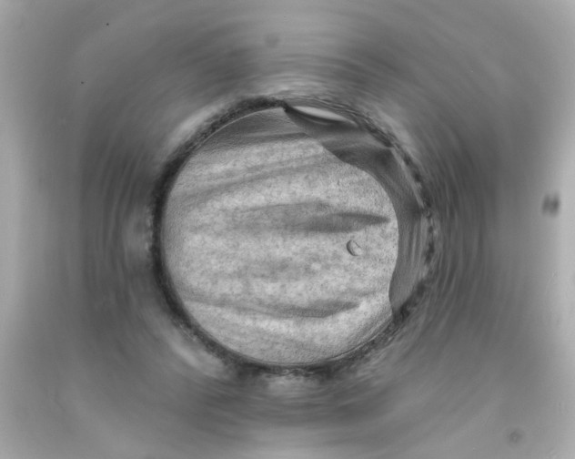 X0000093110400200710241246