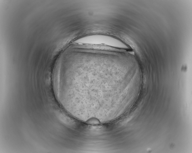 X0000093110401200710241246