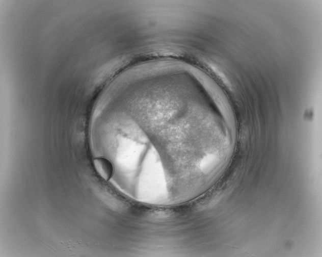 X0000093110402200710241246