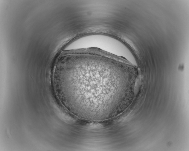 X0000093110403200710241246