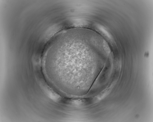 X0000093110405200710241246