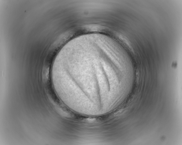 X0000093110406200710241246