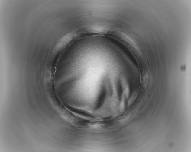 X0000093110407200710241246