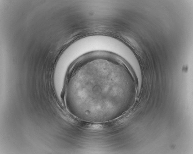 X0000093110409200710241246