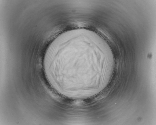 X0000093110410200710241246