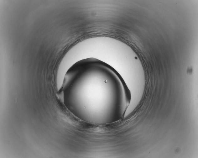 X0000093110412200710241246