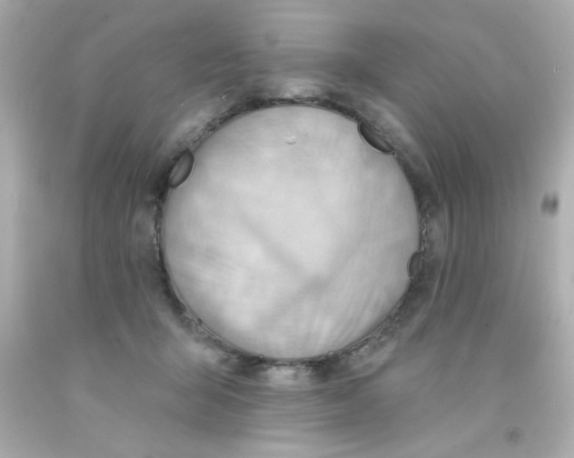 X0000093110415200710241246