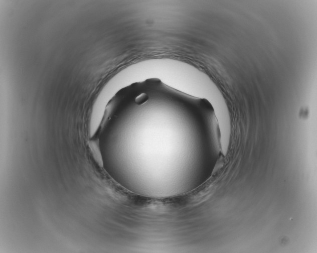 X0000093110416200710241246