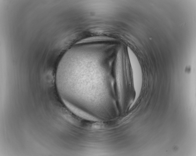 X0000093110420200710241246