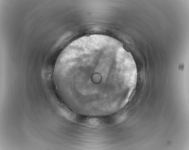 X0000093110423200710241246