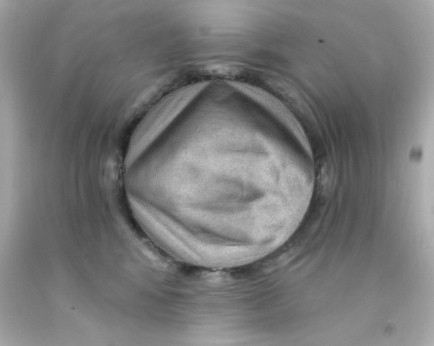 X0000093110424200710241246