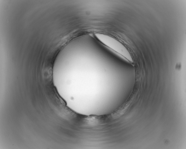 X0000093110425200710241246