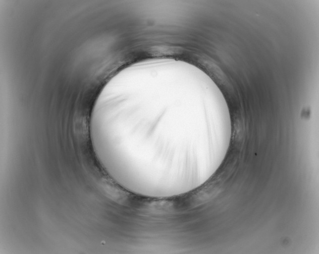 X0000093110426200710241246