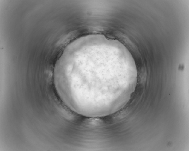 X0000093110427200710241246