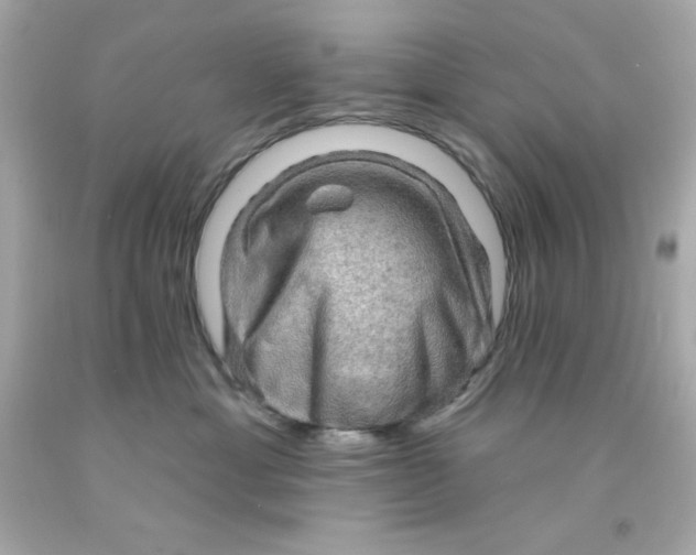 X0000093110429200710241246