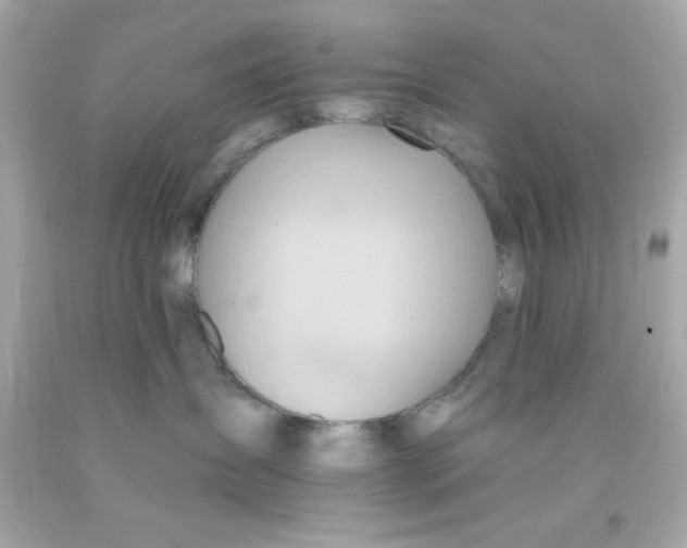 X0000093110431200710241246