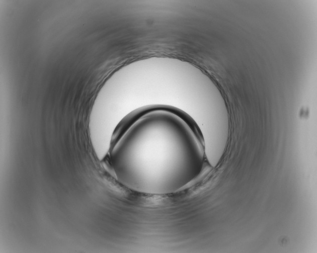 X0000093110432200710241246