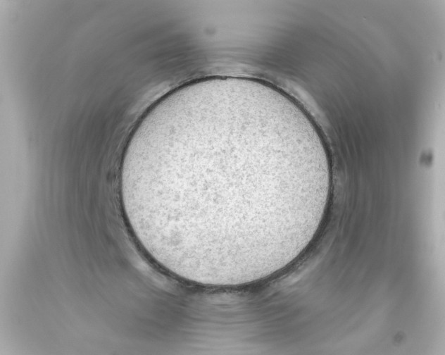 X0000093110433200710241245