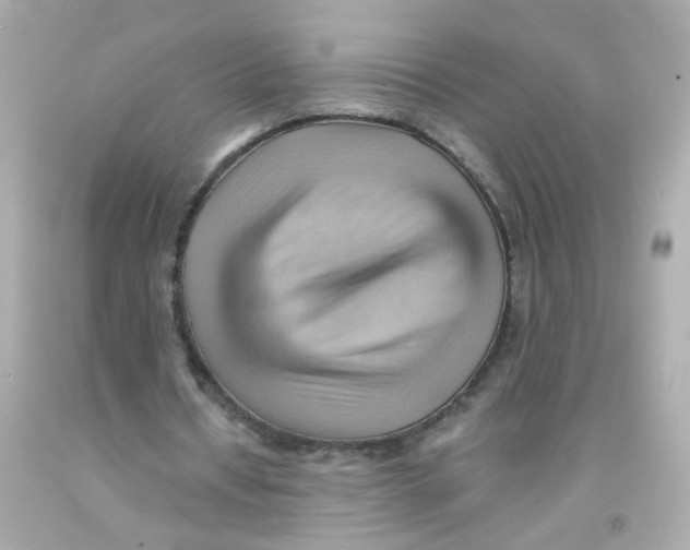 X0000093110434200710241245