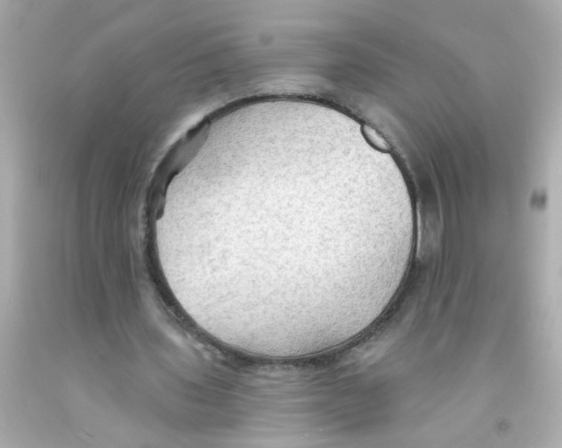 X0000093110435200710241245