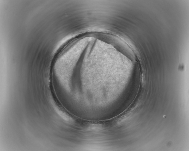 X0000093110438200710241245