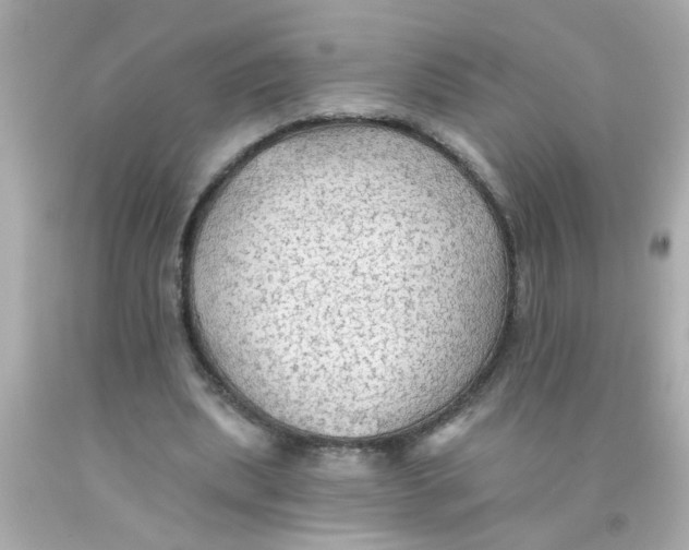 X0000093110439200710241245