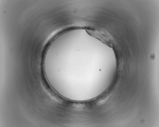 X0000093110440200710241245