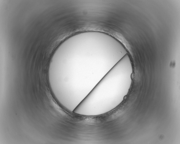 X0000093110441200710241245