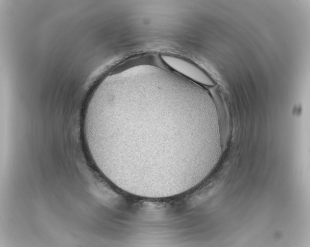 X0000093110442200710241245