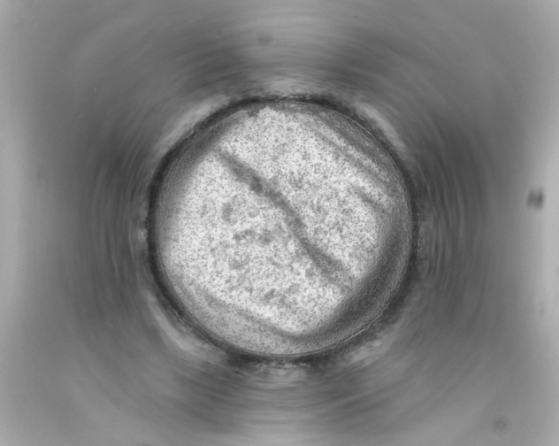 X0000093110443200710241245