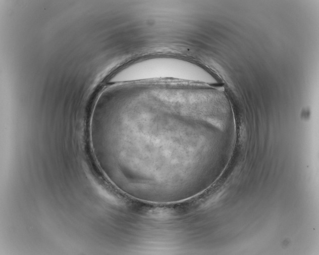 X0000093110444200710241245