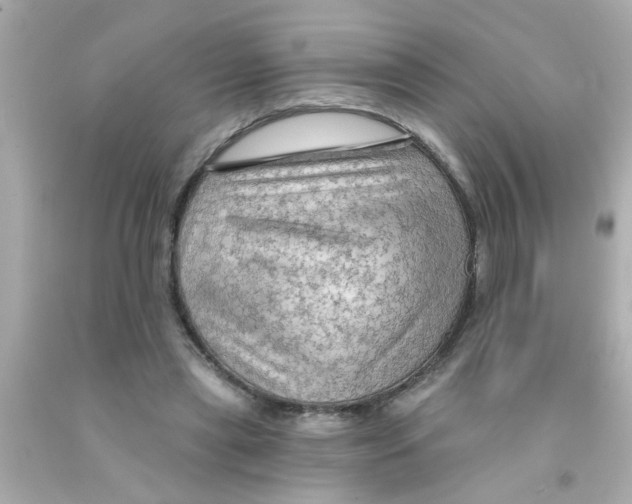 X0000093110445200710241245