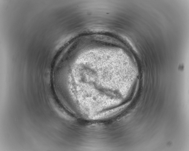 X0000093110447200710241245