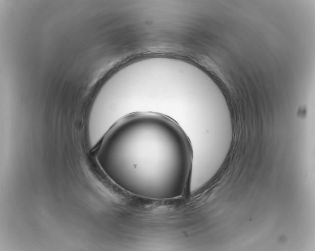 X0000093110448200710241245