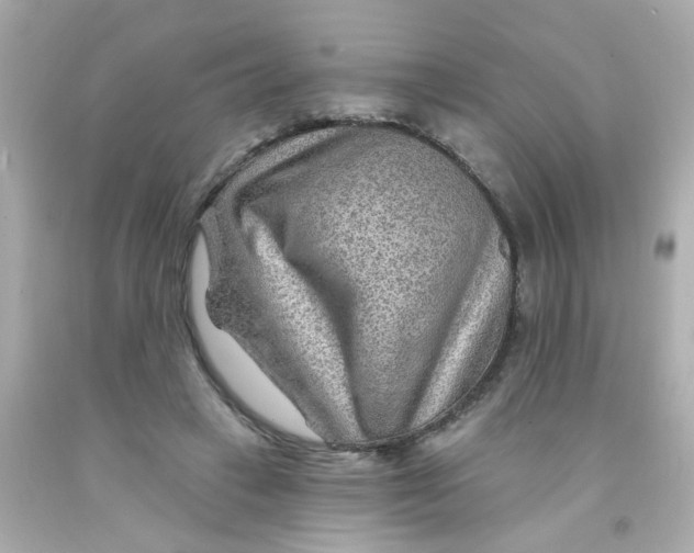 X0000093110449200710241245