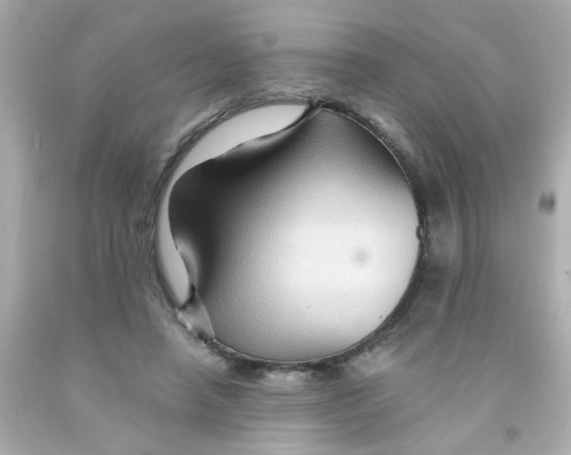 X0000093110450200710241245