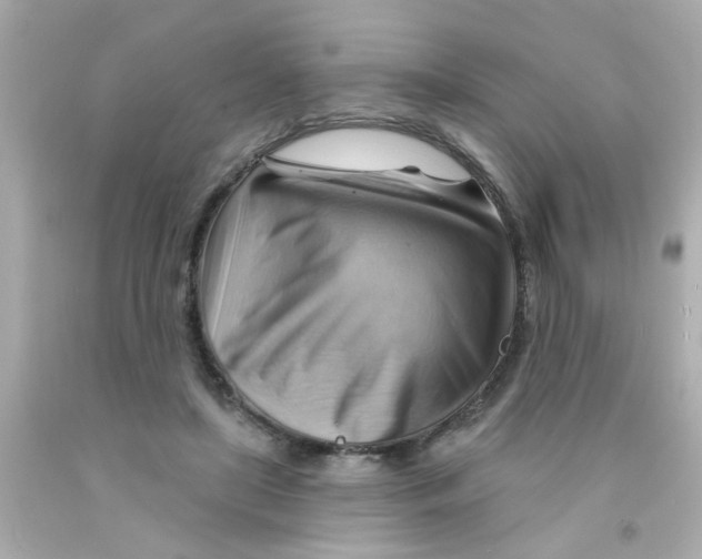 X0000093110451200710241245