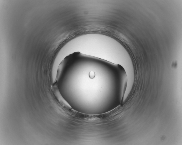 X0000093110452200710241245