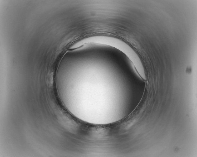 X0000093110454200710241245