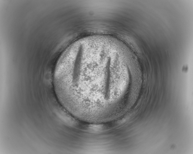 X0000093110457200710241245