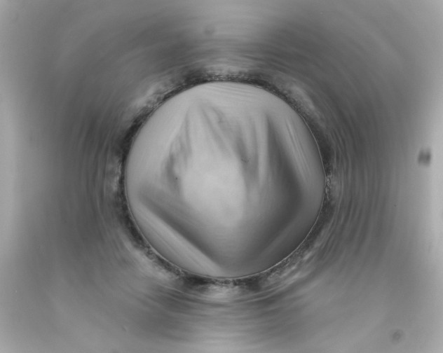 X0000093110458200710241245