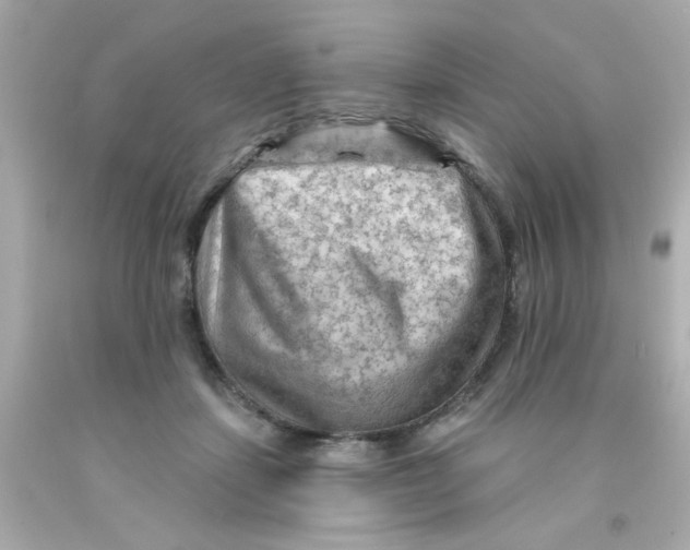 X0000093110459200710241245