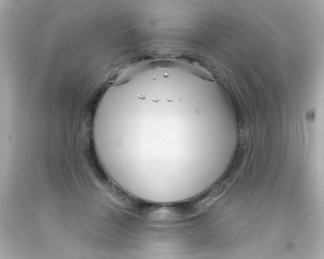 X0000093110460200710241245