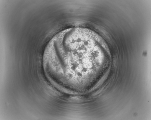 X0000093110461200710241245