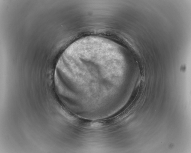 X0000093110462200710241245